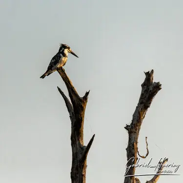 Photography of Lake Kariba in Zimbabwe by Gabriel Haering