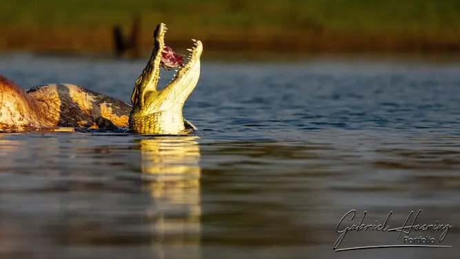 Photography of Lake Kariba in Zimbabwe by Gabriel Haering