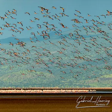 Photography of Lake Natron region by Gabriel Haering