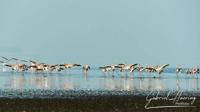 Photography of Lake Natron region by Gabriel Haering