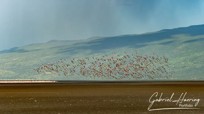 Photography of Lake Natron region by Gabriel Haering