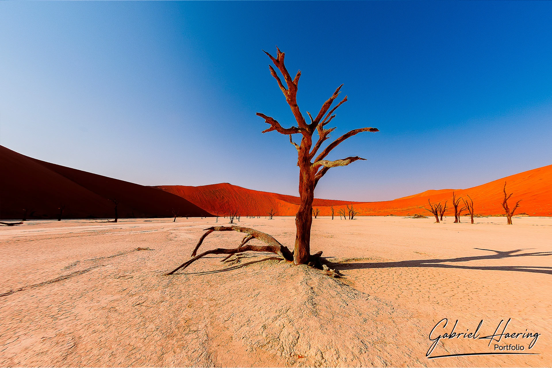 Deadvlein and Sossusvlein in Namibia Namib Naukluft national park photographic safari