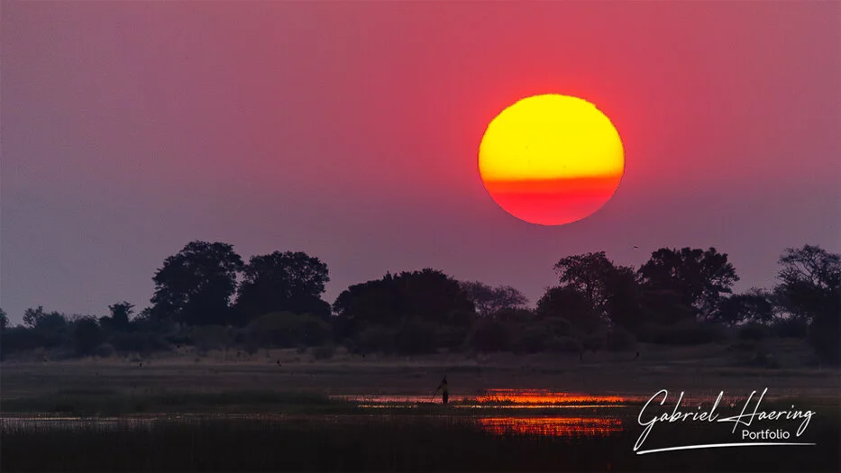 Large red sun setting over the Chobe River floodplain in Botswana